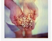 Polaroid sea stars - fine art print of 8x10 inches signed by its author
