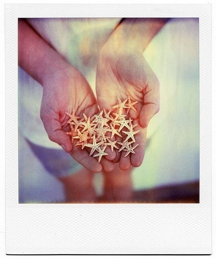 Polaroid art print of little sea stars in 8x10 inches signed by its author - pocketmemories
