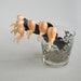 Vintage Bottoms Up Swizzle Sticks Cocktail Stirrers Naughty Barware