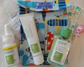 Medium Ouch PouchTM Clear First Aid Storage Organizer for Diaper Bag Car Purse Boo Boo Bag (5x7 Ann Kelle Airplane Organic Cotton Fabric)