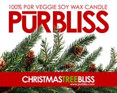 Christmas Tree Soy Candle - Medium  Jar