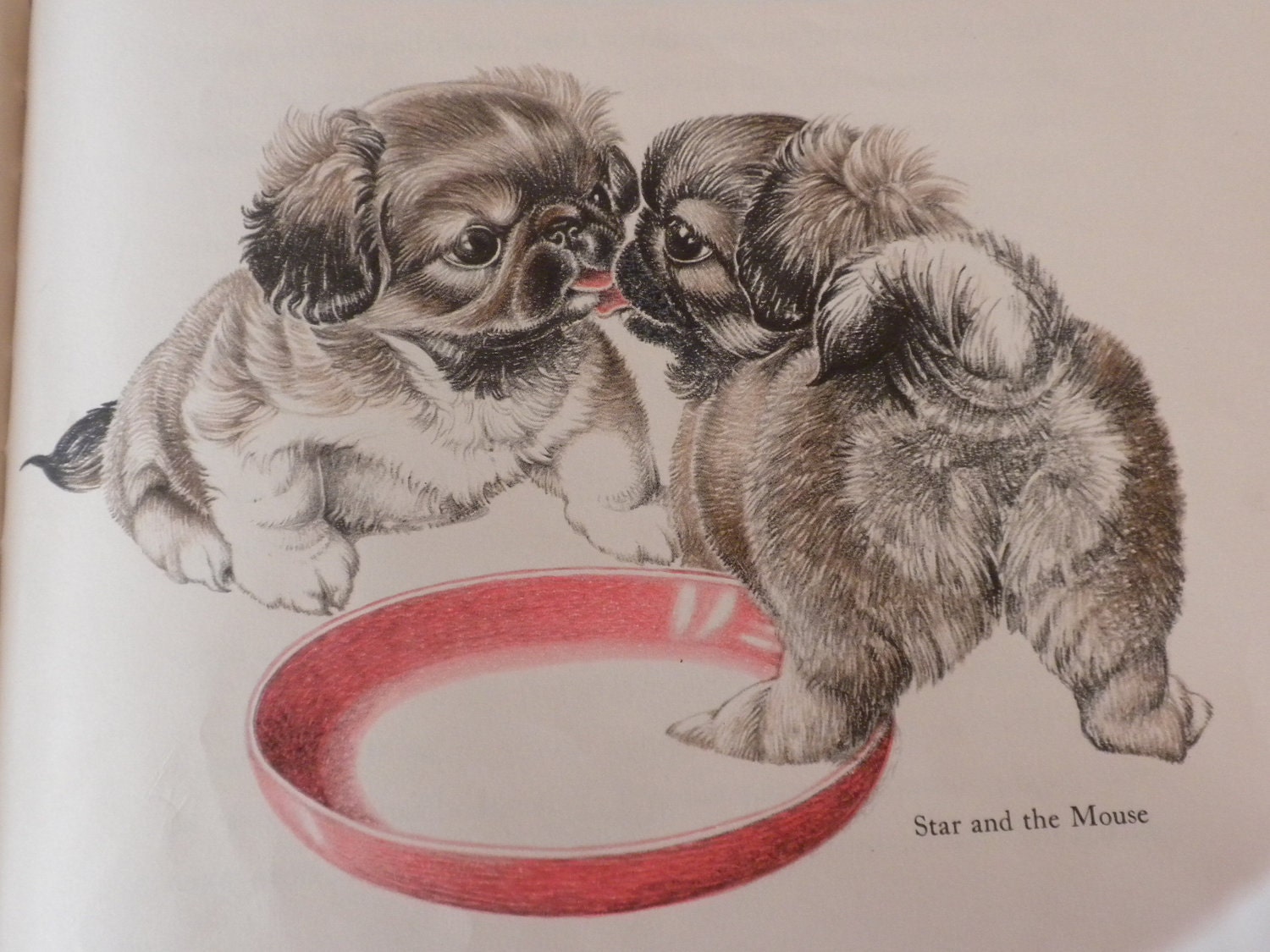 puppies, vintage ephemera, from a discarded vintage book