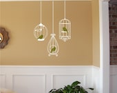 Birdcages with Birds - Vinyl Wall Decal