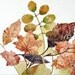 My Leaves Collection - Original Painting - Nature Watercolor 8x8