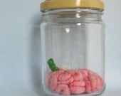 Brainy Terrarium with Caterpillar No.2 Green Worm