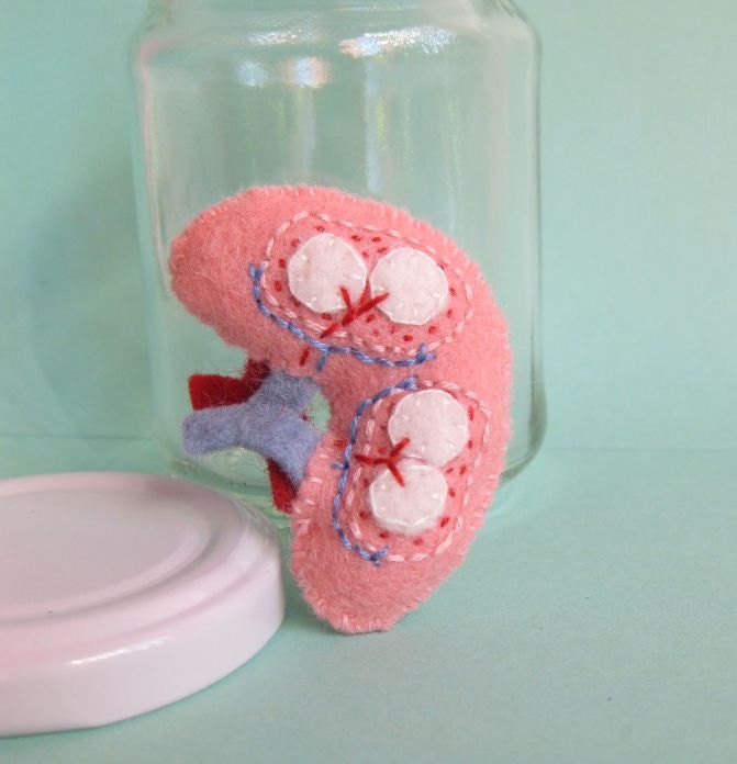 Specimen Jar Spleen Anatomical Curio