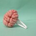 Brain Hairclip Top View