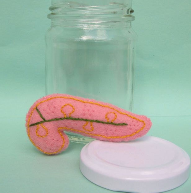Specimen Jar Pancreas Anatomical Curio