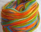 Brevoort - Isobel Hand-dyed Yarn