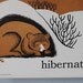 vintage mid century Classroom Science Chart MIGRATION and HIBERNATION