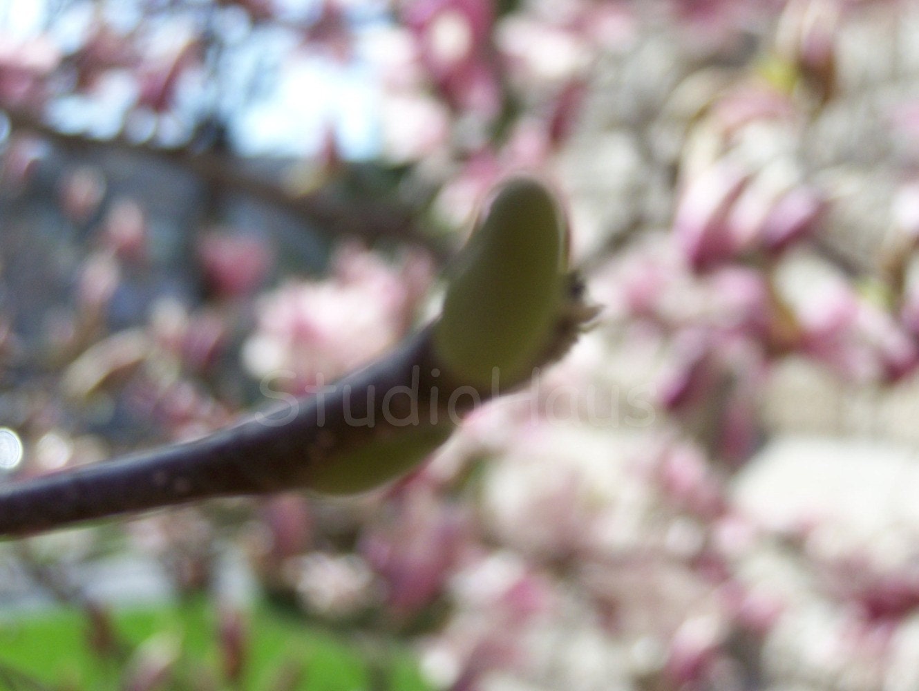 BOGO 50% off -  CYBER SALE -- Anticipation - 5x7 - Fine Art Photography Print