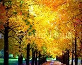 BOGO 50% off - CYBER SALE -- Autumn's Light - 8x10 - Fine Art Photography Print