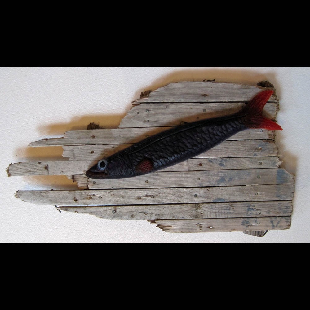 Red and Blue Capelin