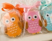 Owl Cookie Favors - 2 Dozen Decorated Sugar Cookies