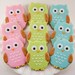 Owl Sugar Cookie Favors - (24 Favors, bagged and bowed)