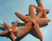 Sugar Starfish Headband - Pearly Sugar Star Starfish Pearl Headband