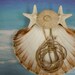 Sea Urchin Seashell Ring Bearer's Pillow