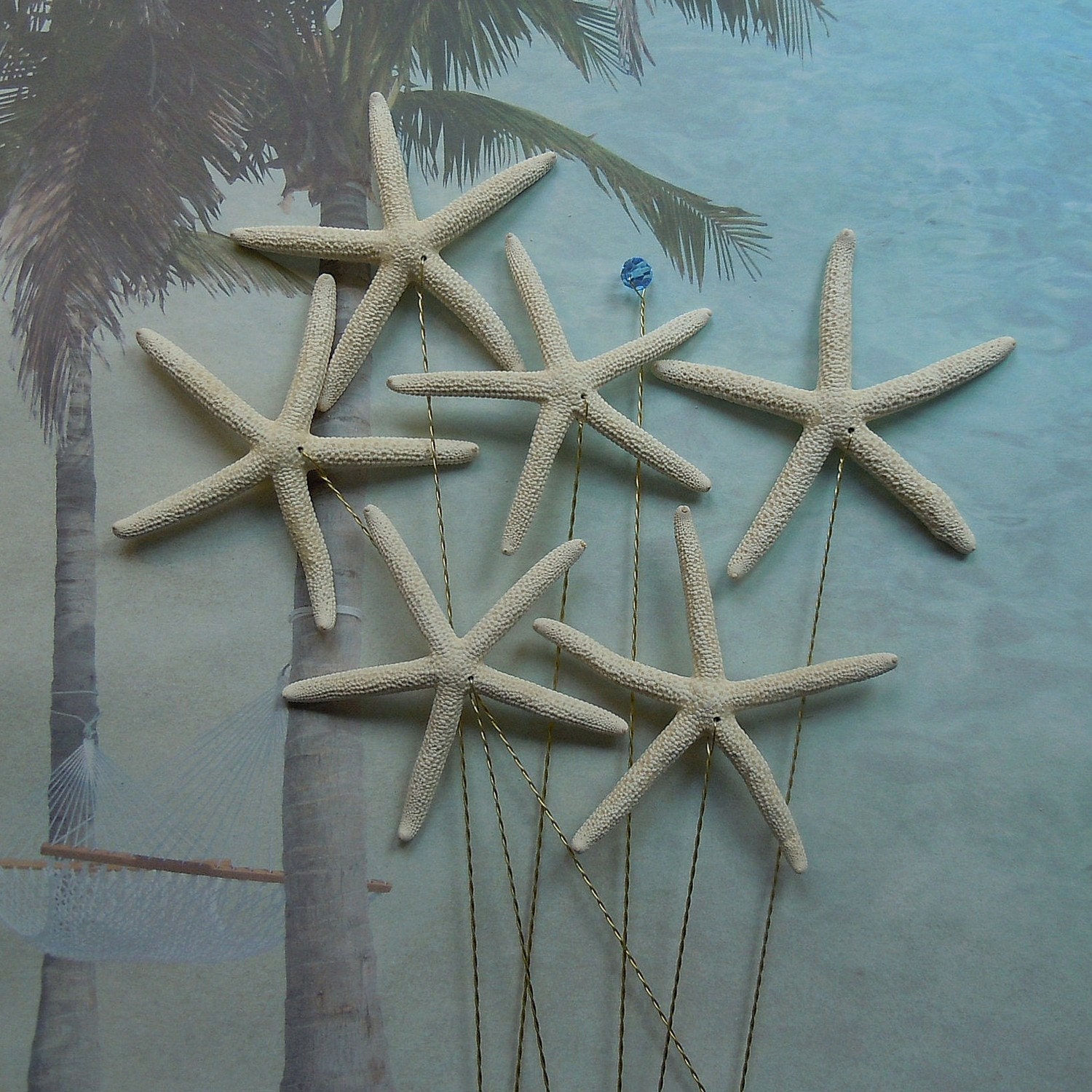One Half Dozen Natural Pencil Starfish Wedding Bouquet or Centerpiece