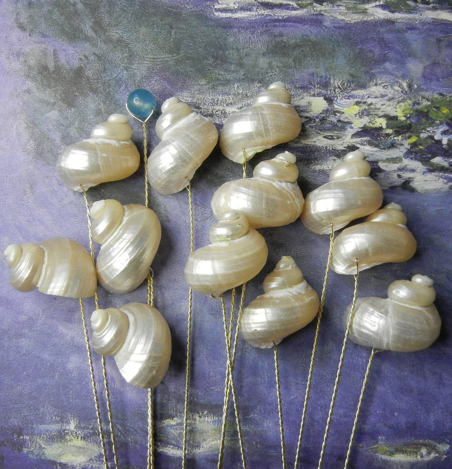 12 Seashell Stems - Pearly Swirls - Polished Ivory Turbo Seashell Stems for Wedding Bouquet Bridal Bouquet or Centerpieces