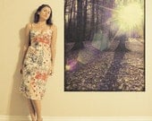 Wild Light - Fine Art Photograph - 3 foot wall print