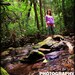 Tiny Forest - Fine Art Photograph - 5 foot wall print