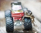 Humor dude frog men Fathers Day boy children under 50 kids funny fun humorous monster truck red black - Fine Art Photography Print