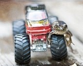 Father Day Spring Summer Frog funny under 25 50 humorous geek fun dude boy men children green red black texture - Fine Art Photography Prin