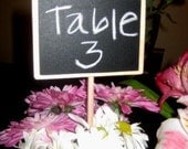 Wooden Stakes with Chalkboard Label - 12