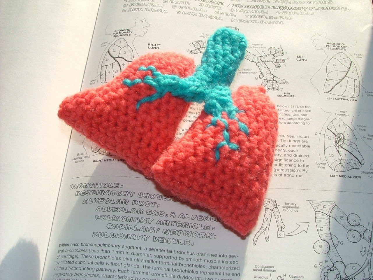 Lungs Crochet Plush