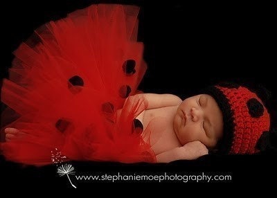 Ladybug Tutu Costume - For Halloween, Dress Up, Photos, Birthdays and more - up to size 24 mo