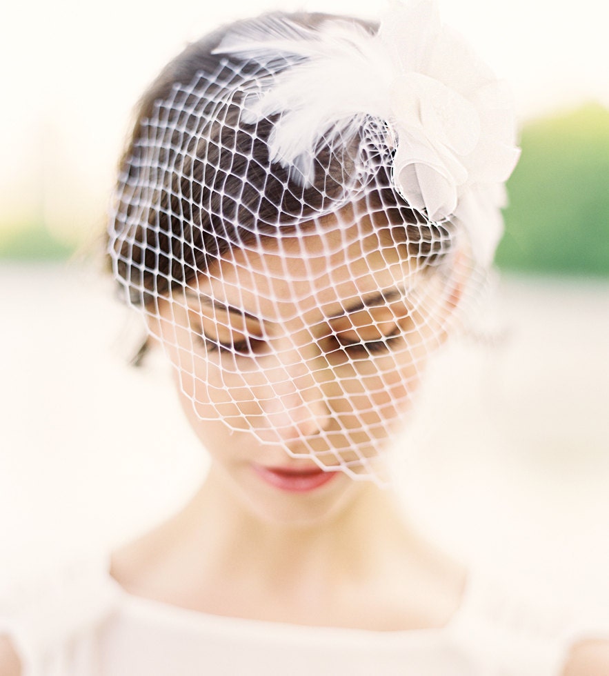 Lila Birdcage Veil with Swarovski Crystal and Feathers