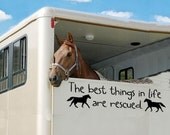 The best things are rescue horse decal