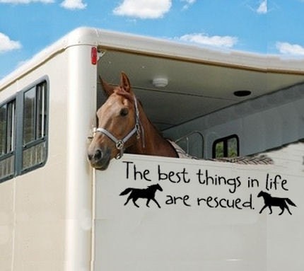 The best things are rescue horse decal
