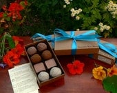 Seed Bombs gardening for the new homeowner - Edible Flowers Garden Bon Bons