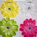 Set of 5 Tropical crystal center flowers embellishments clippies, headbands, beanies, scrapbooking