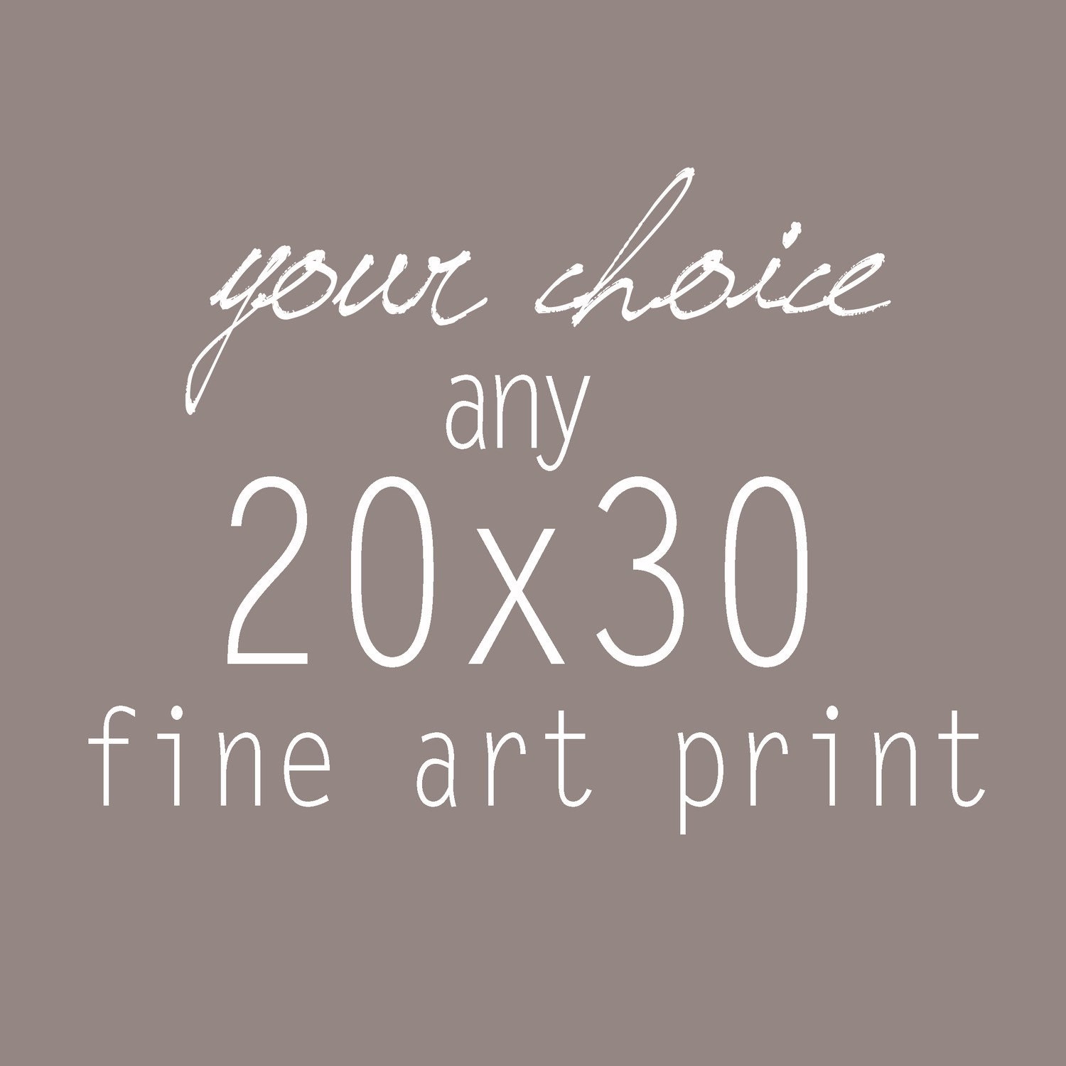 Your Choice of any 20x30 Fine Art Photograph