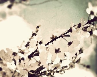 Cherry blossom, water color, teal, turquoise mint, print, black, nature, flowering tree, fine art photograph 5"x5"