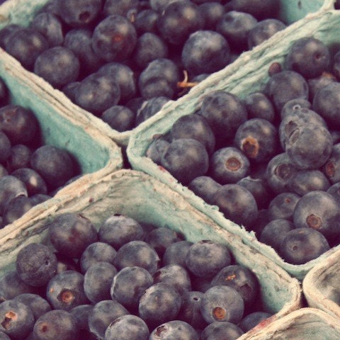 Blue Berry Alaska, whimsical kitcehn decor, teal, purple, fruit, food photography, natural, fine art photograph 5"x5"