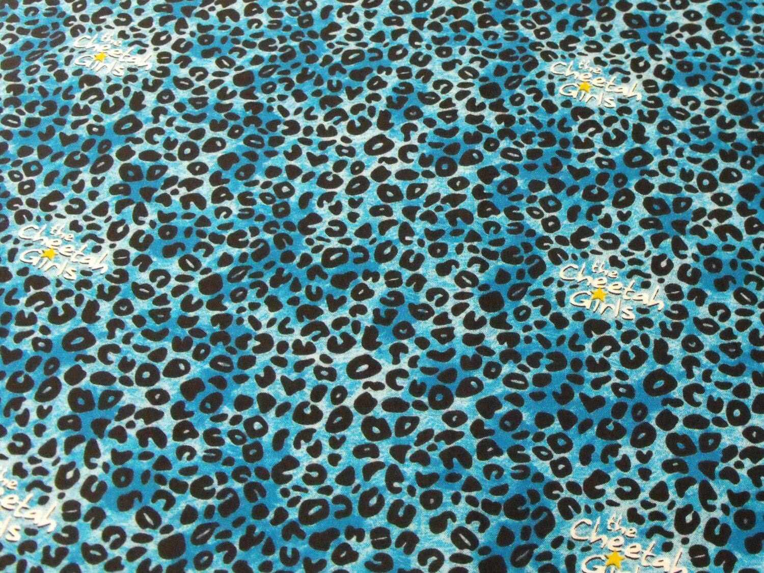 cheetah print pictures