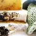 Mint Soap with Eucalyptus Gift Wrapped in Plantable Paper Organic