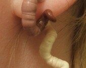 earthworm false gauged earrings