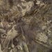 Silk Chiffon Fabric Printed Pattern - 2 Yards