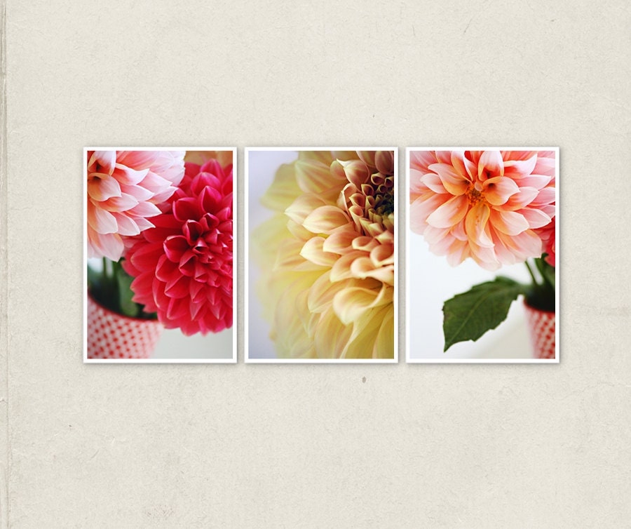 An intimate view of my garden - currently in stock, save 20% on your choice of three 5x7 fine art photographs