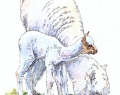 ALPACA & Cria Original Watercolor on Ink Print 11x14 Matted Ready to Frame