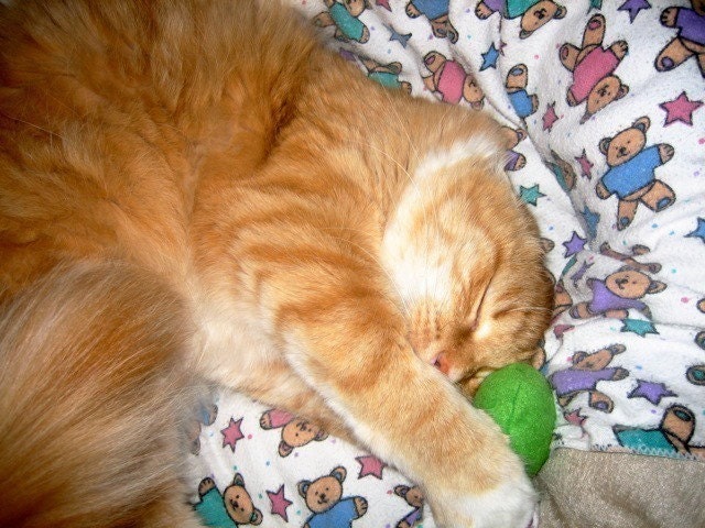 Pea Paw'd - cat nip pea pod toy