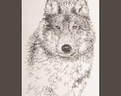 Wolf - Artist Kline draws the Wolf art using only words. Signed 11x17 Lithograph