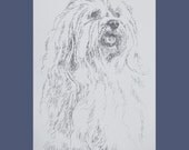 Havanese - Artist Kline draws his dog art using only words. Signed 11x17 Lithograph 33/500 - Your Dogs Name added Free