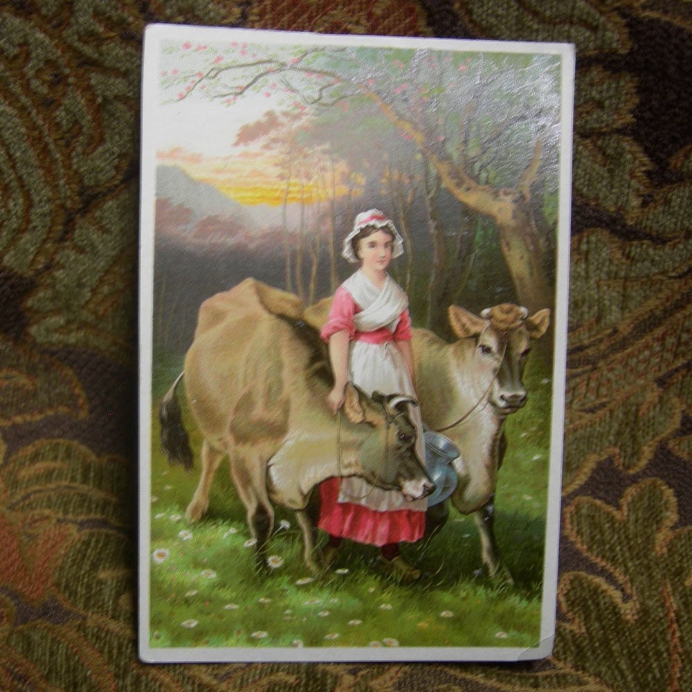 Vintage Trade Card - Dr Jayne's Patent Medicine - The Jerseys No. 14 in the Album Card Series