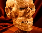 Head of the Mummy Baraka