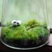 irish landscape with mommy and baby sheep